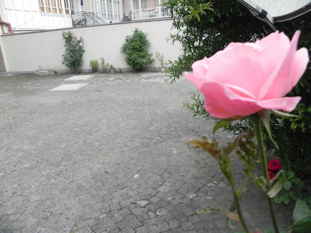 Old Yard Guest House Tbilisi Exterior foto